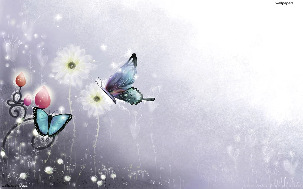 Colorful Butterflies HD Wallpapers