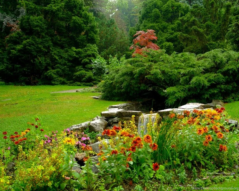 Forest Garden Garden Flower – Nature Forests HD Desktop Wallpapers