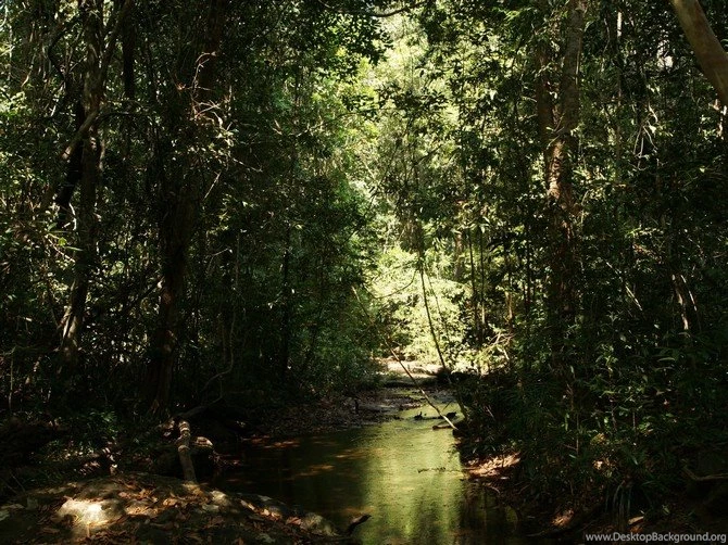 Philippine Islands 05. Wallpapers   Philippines   Cities ...