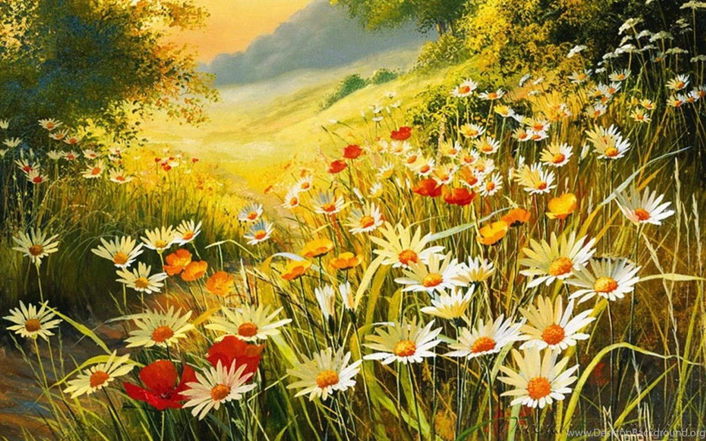 Flower Meadow Hill Forest Wallpapers