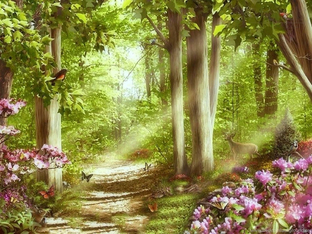 Forests: Forest Nature Bird Flower Backgrounds Pictures For High ...