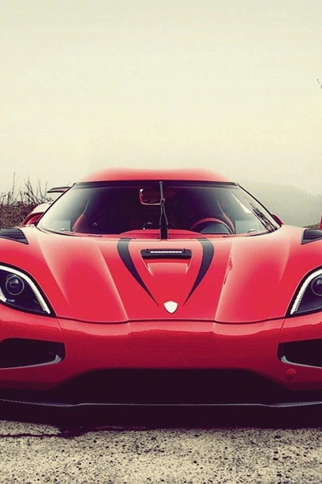 Forest Cars Koenigsegg Roads Vehicles Agera R Wallpapers