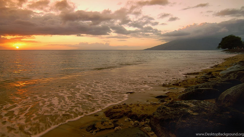 Wallpapers Skate Kamaole Beach Park Near Keihei Skatepark Maui ...