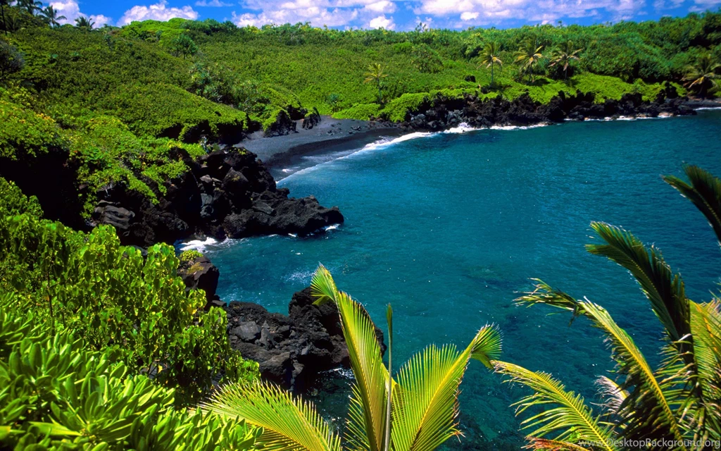 Beach Beautiful Black Forest Maui Hawaii
