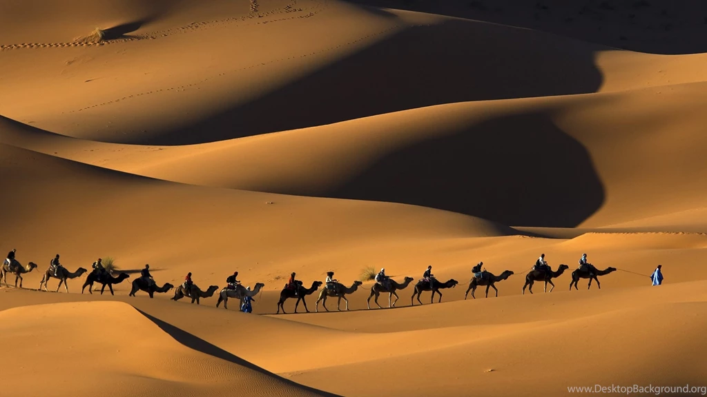 Camel Train In Morocco Computer Wallpapers, Desktop Backgrounds ...