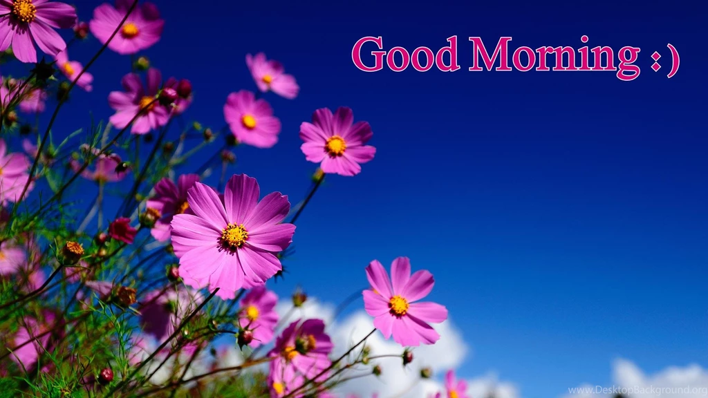 Good Morning Love Images Wallpapers
