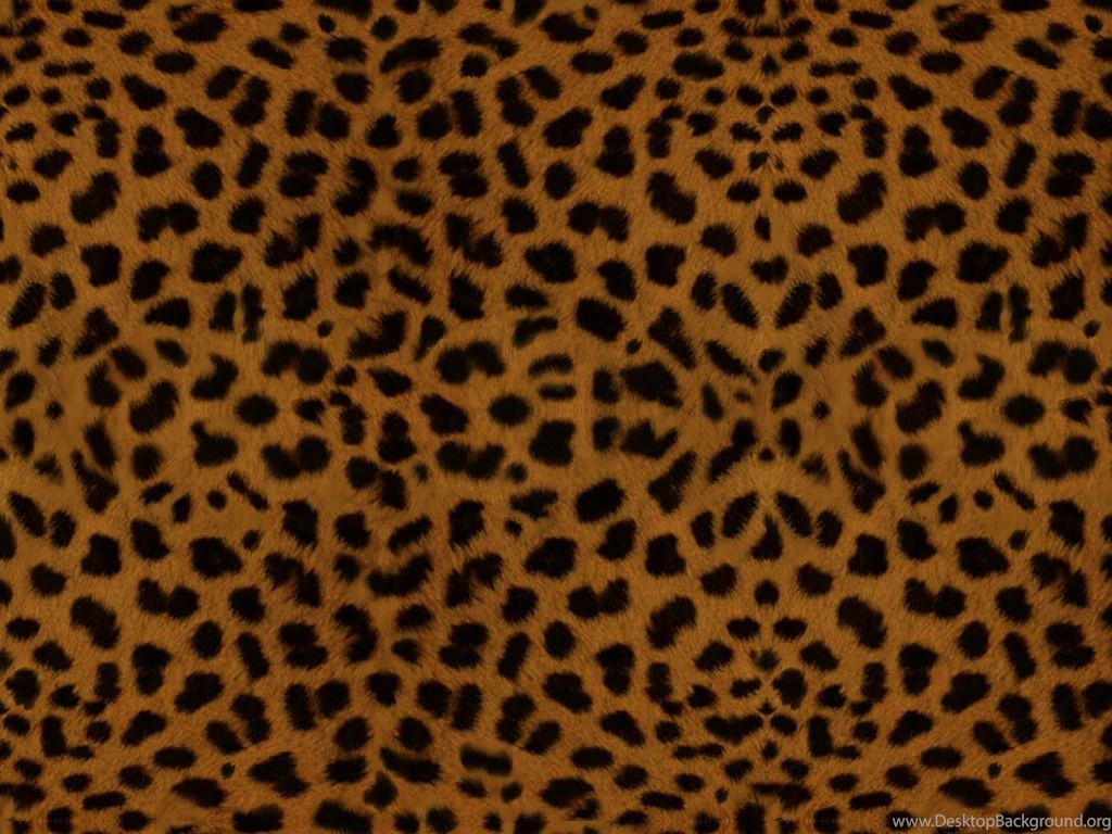 Spotty Wallpapers Wallpapers HD Base