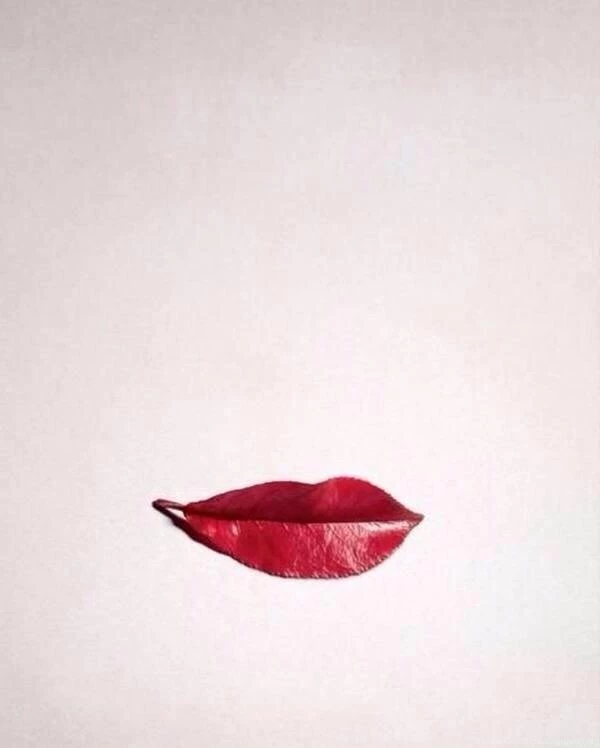 Background, Cool, Cute, Illusion, Leaf, Lips, Red, Simple ...