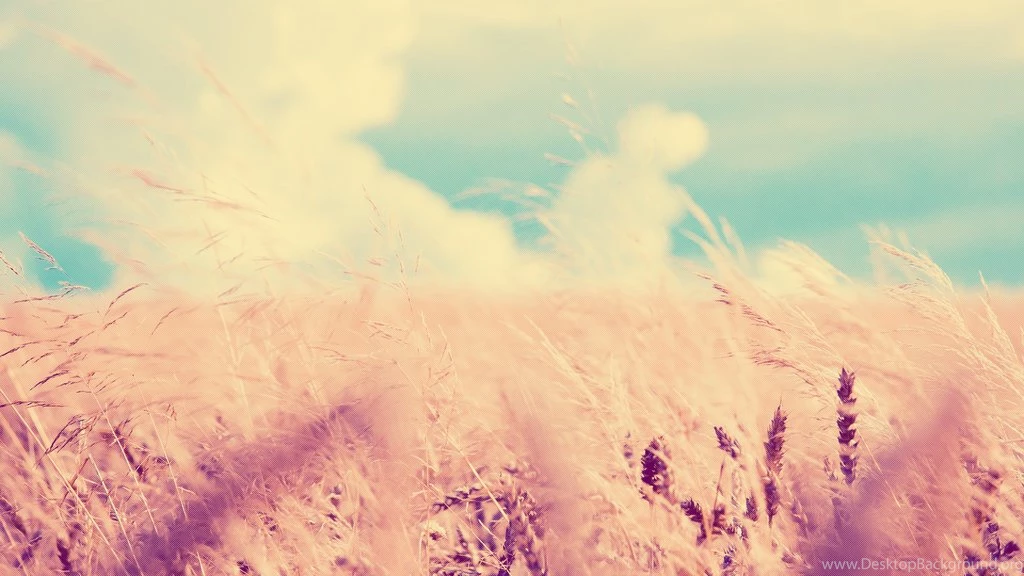 Cute Wallpapers High Definition Inspiring Fullwidehd.com