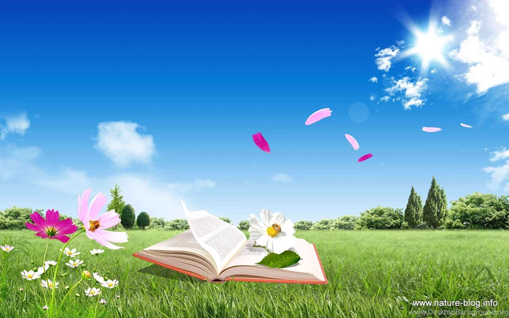Gallery Wallpapers HD Wallpapers Pretty