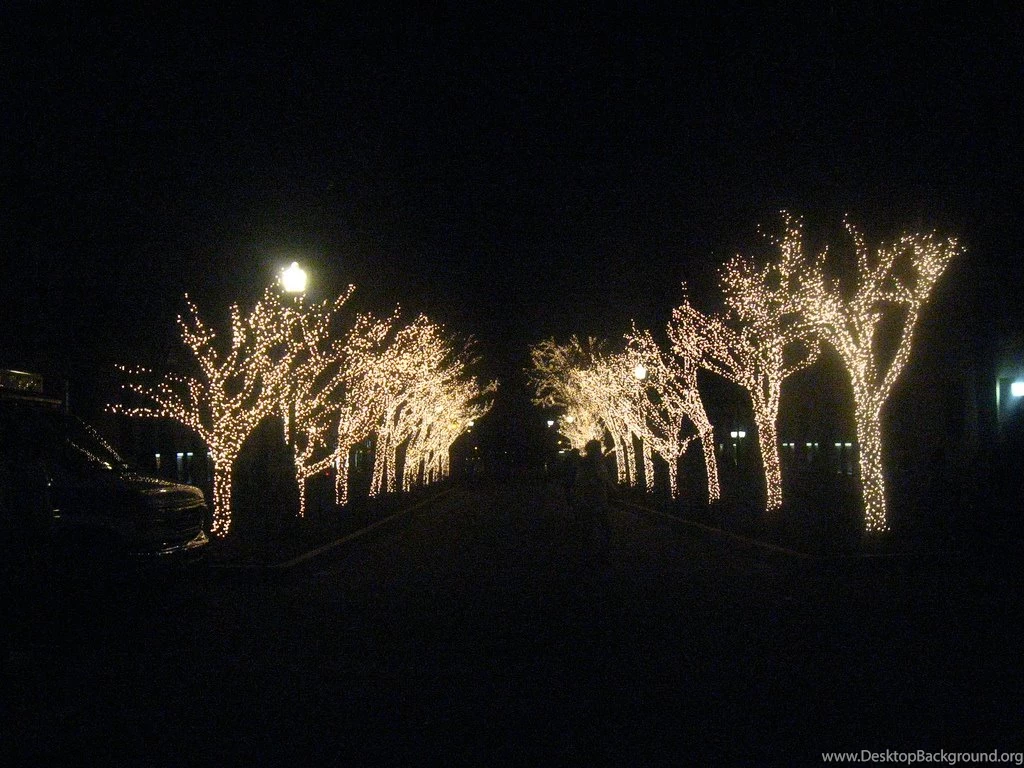 Christmas Lights At Columbia University New York The City Pictures
