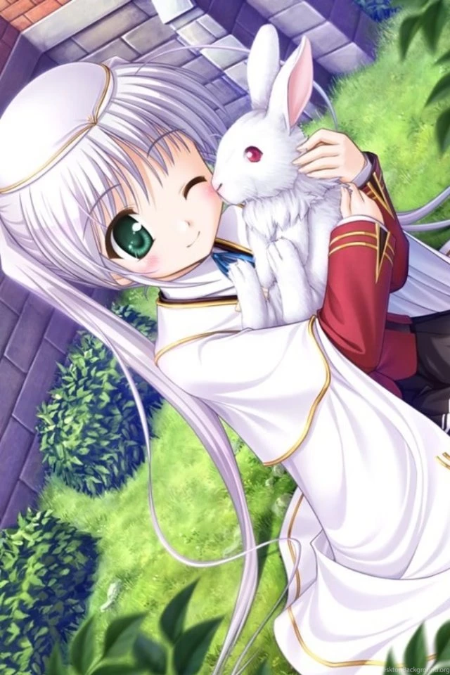 Fortune Arterial.Shiro Togi.640x960