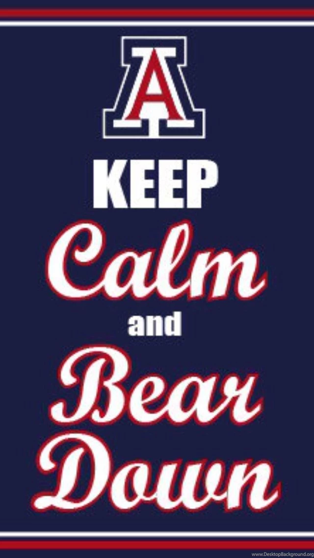 Bear Down On Pinterest