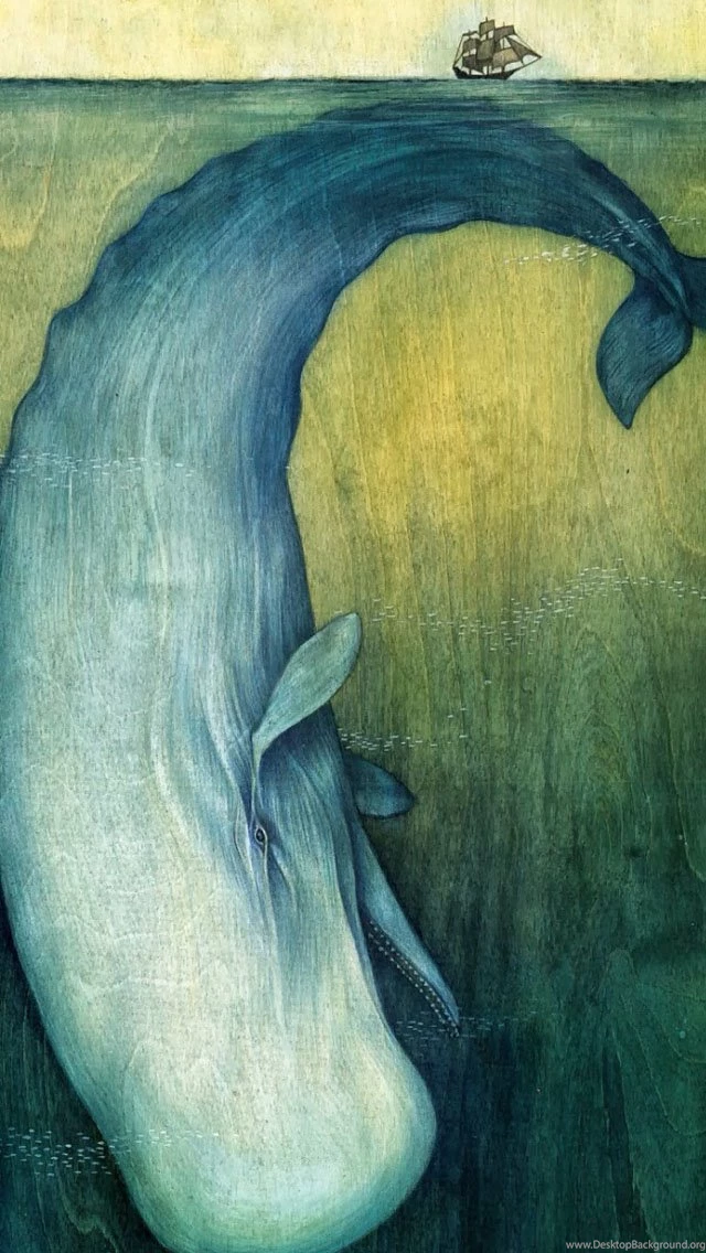 Humpback Whale Illustration Wallpapers Free iPhone Wallpapers