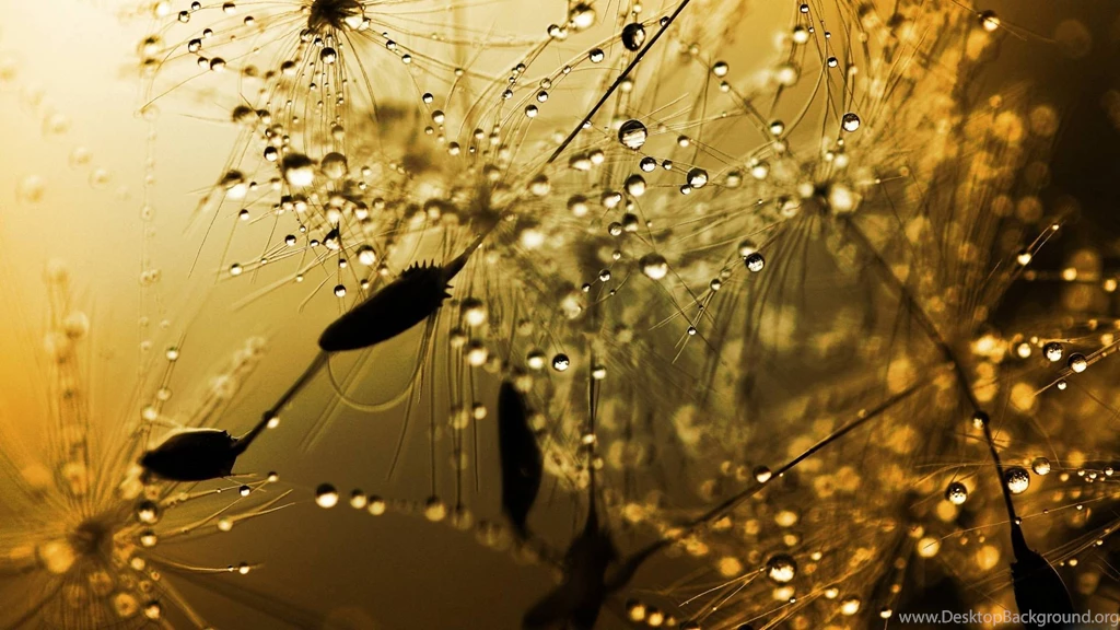 Rainy Wallpapers 1920x1080 (14)   Hebus.org   High Definition ...