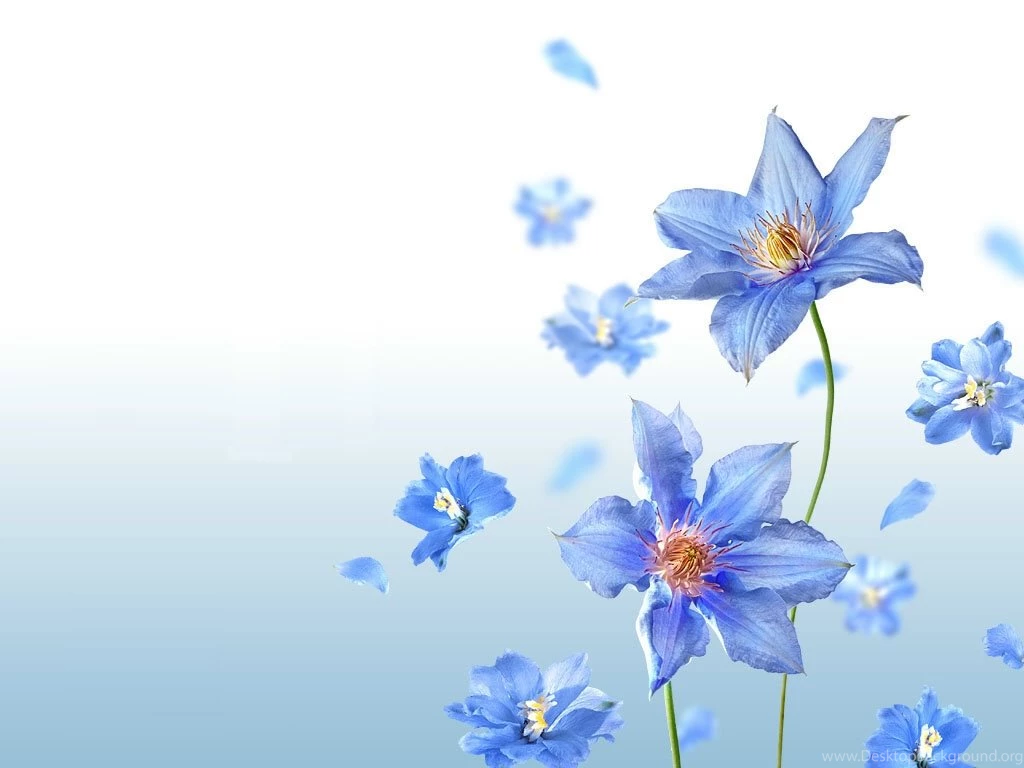 Mother's Day Backgrounds – HD Backgrounds Pic