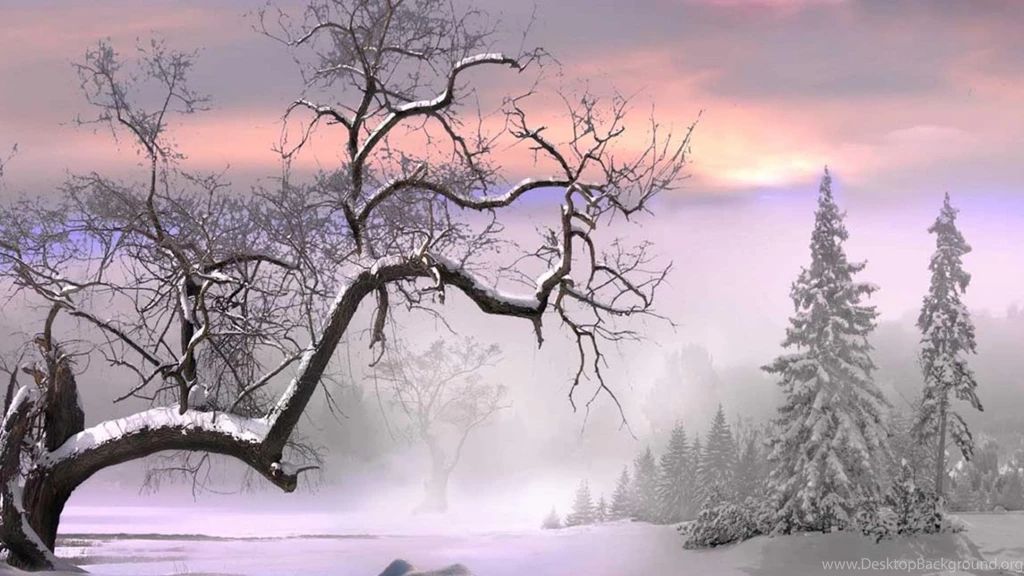 Magical Iridescent Winter Scene   (