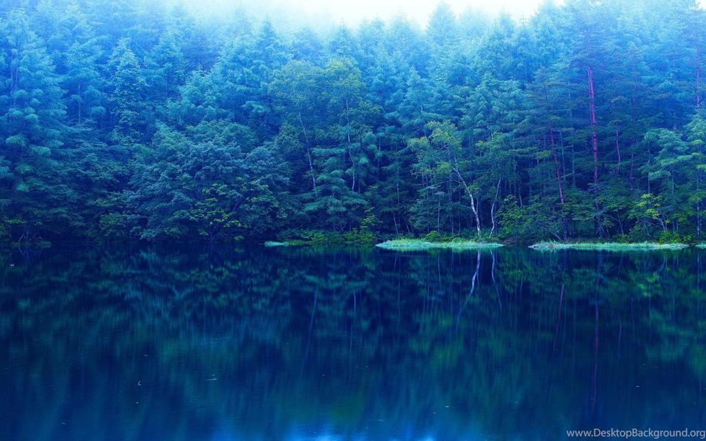 2880x1800 Lake Forest Wallpapers