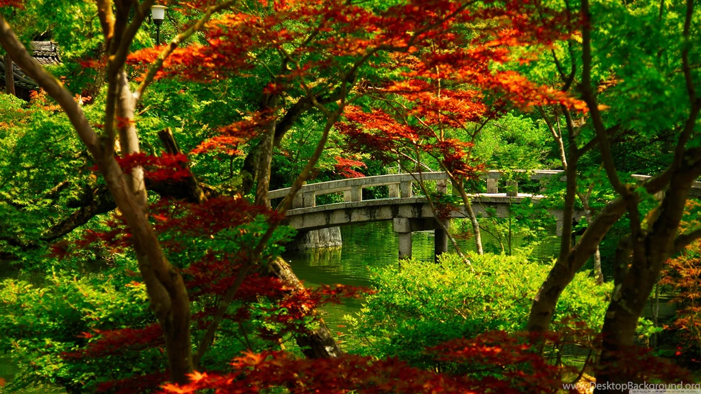 Japanese Garden (Kyoto) HD Desktop Wallpapers : Widescreen : High ...