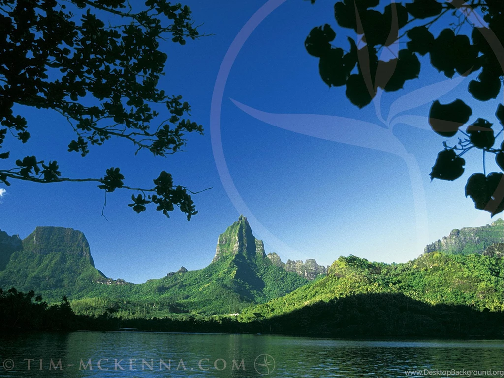 Polynesian Wallpapers