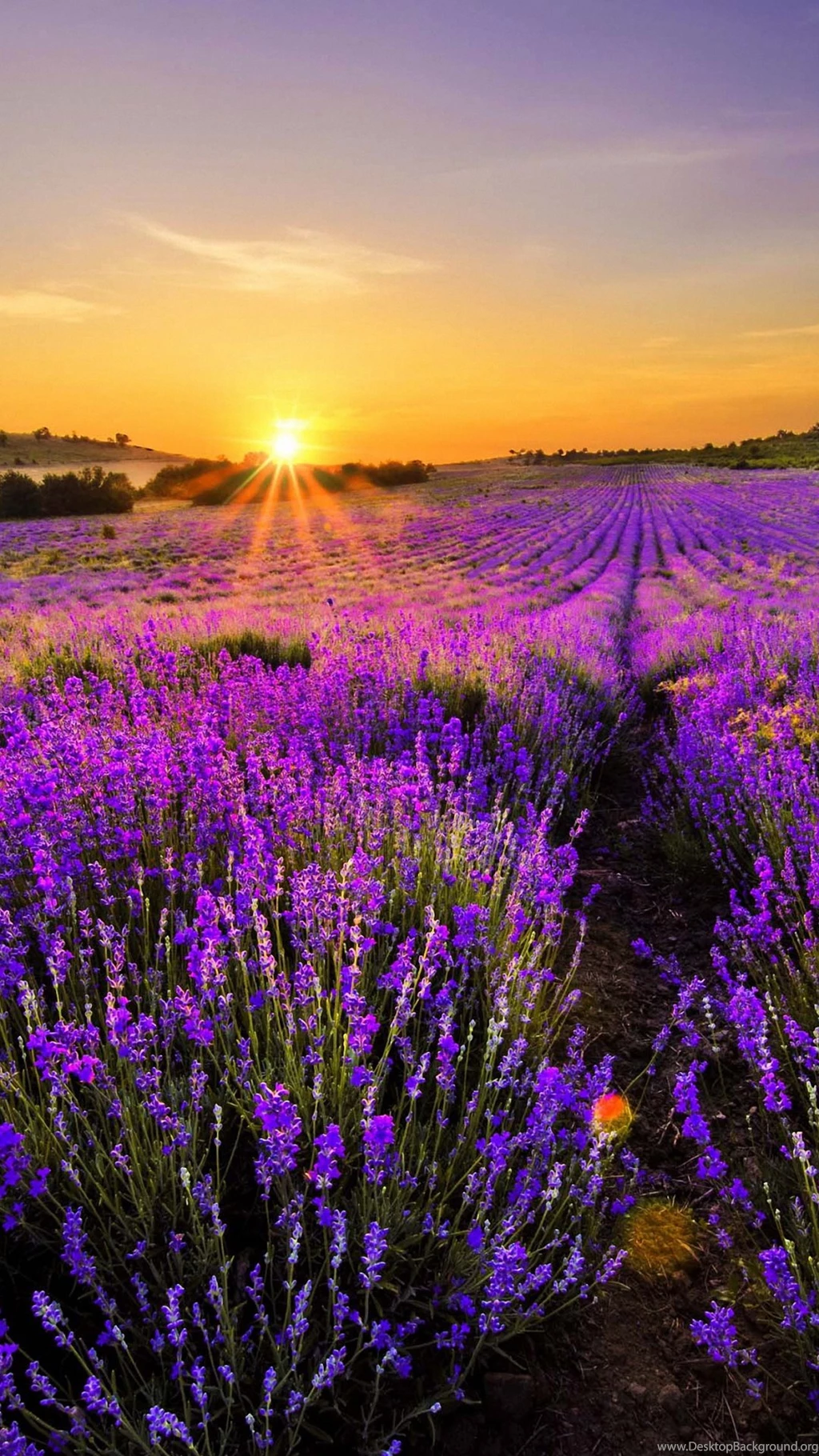 Cool Nature Landscape iPhone 6s Wallpapers HD