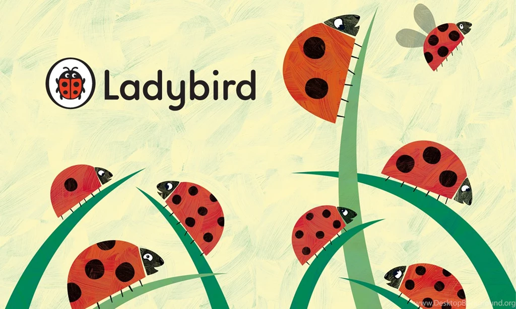 HD Ladybird Wallpapers