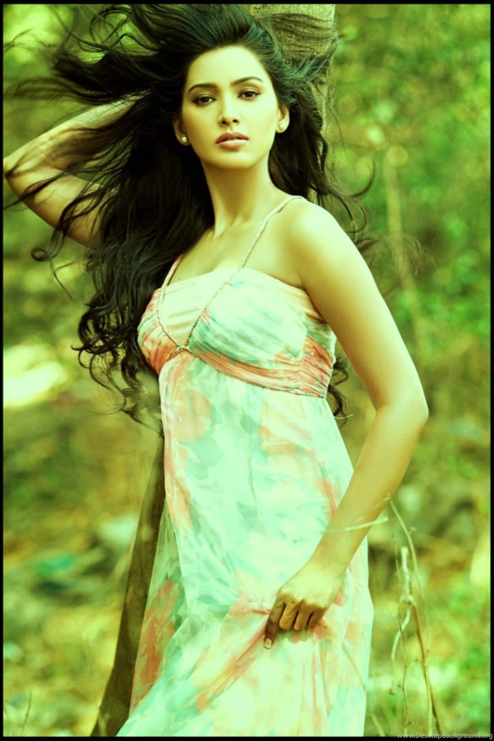 Bollywood Actress Pallavi Subhash Hd Wallpapers 2015 News,Movies ...