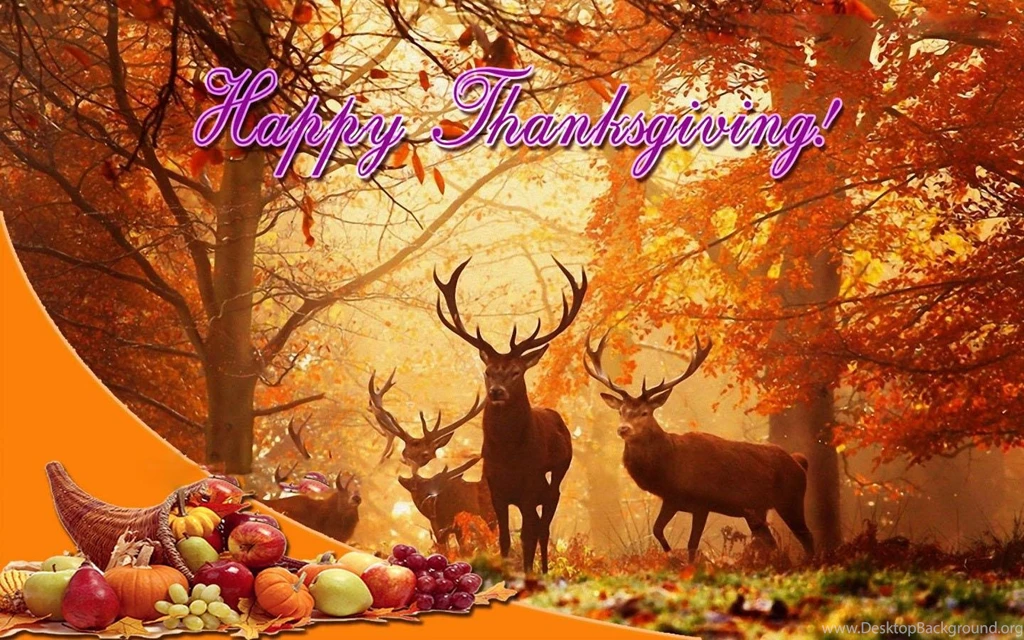 HD Thanksgiving Wallpapers Free Wallpapers Zone