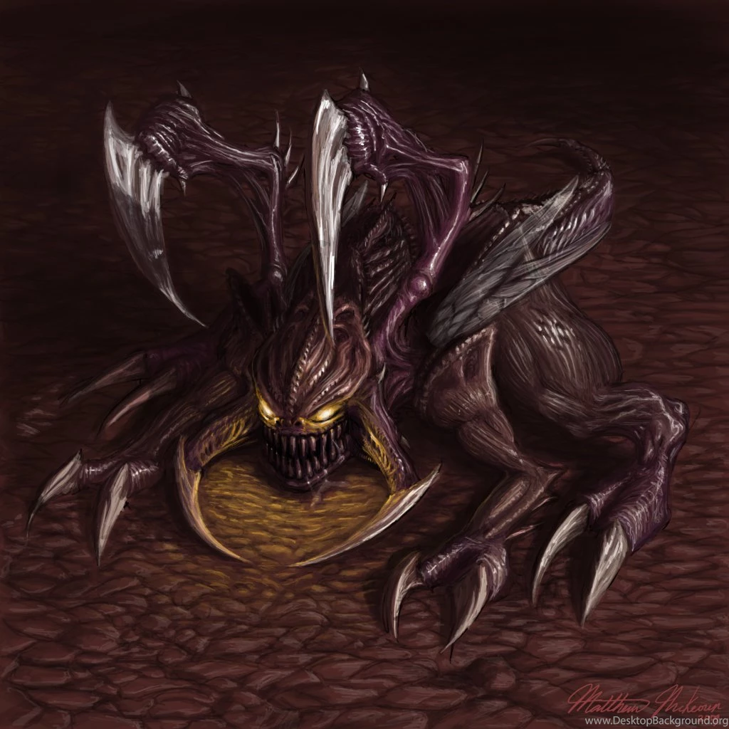 Zergling By Infernal Feline On DeviantArt