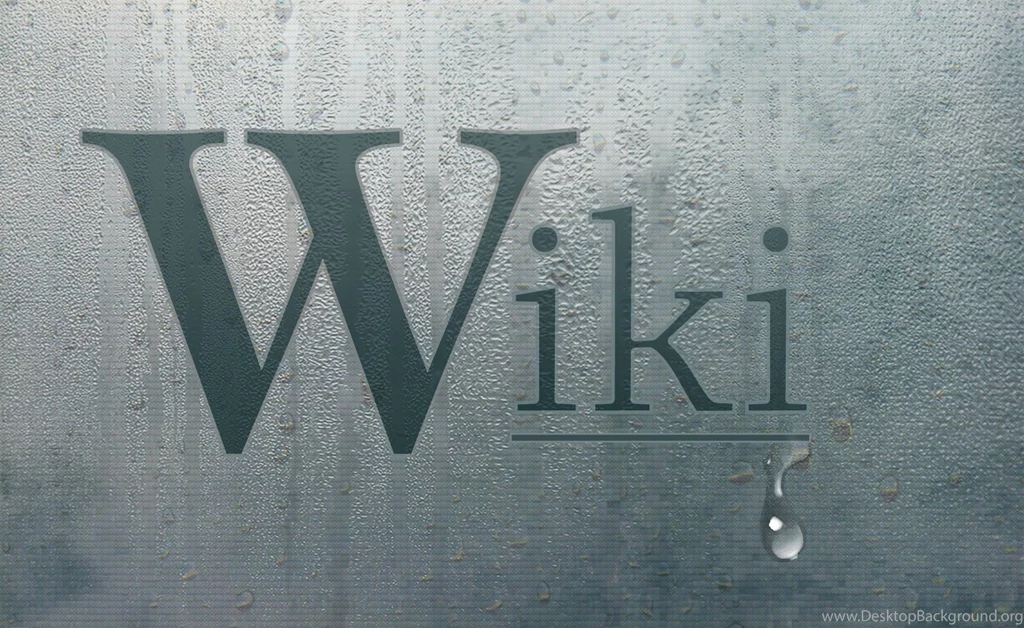 WikiLeaks Em Nova Campanha Para Arrecadação De Recursos