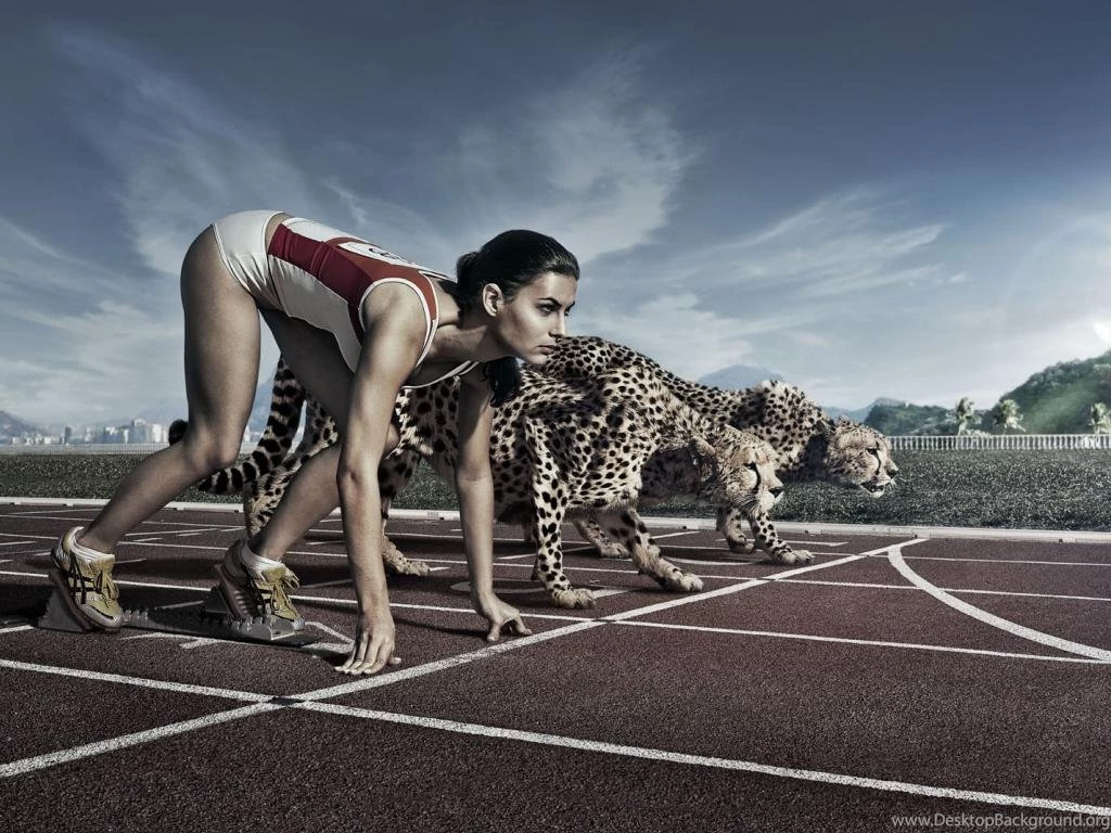 Sprint Against Cheetah Abstract HD Wallpapers