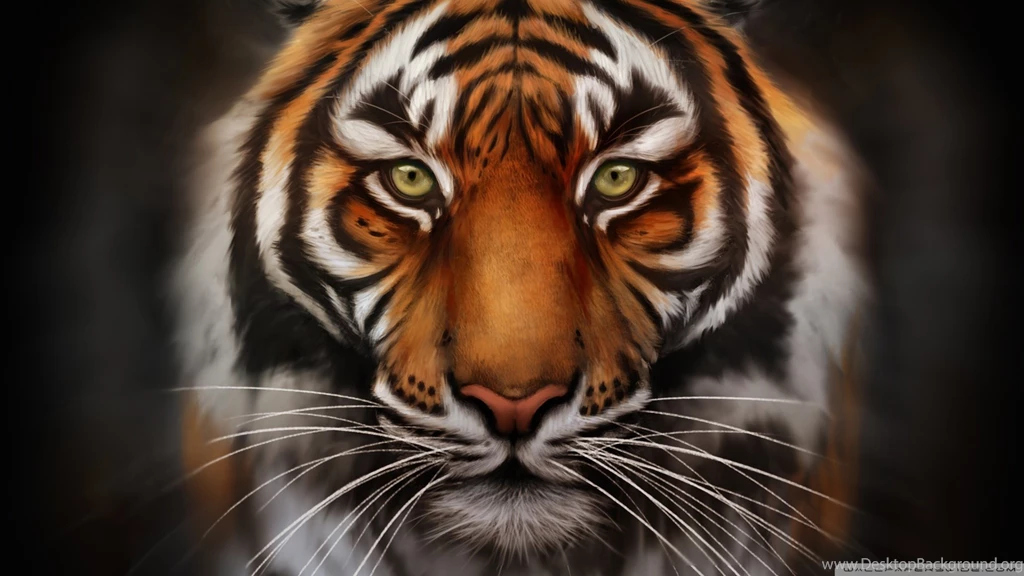 Save The Tiger HD Desktop Wallpapers : Widescreen : High Definition ...
