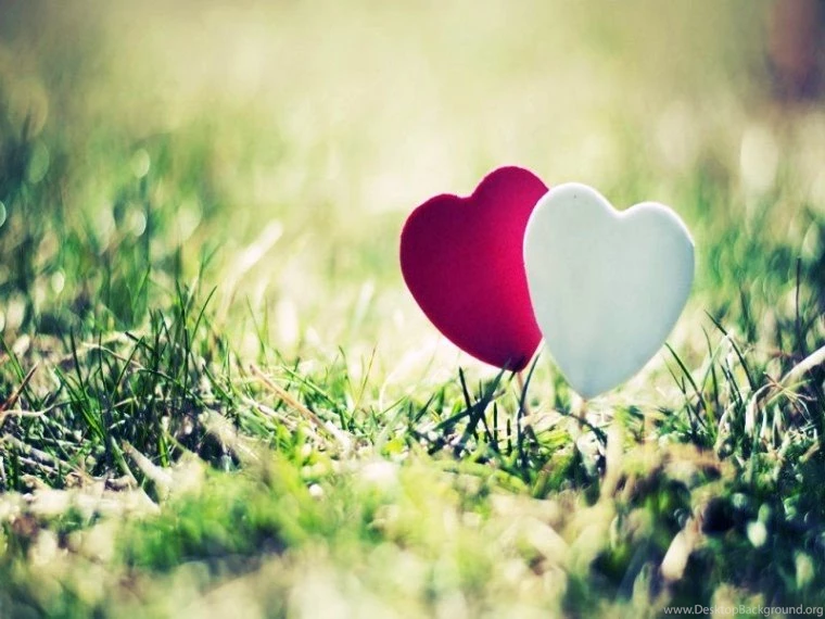 Latest Heart Love Romantic Wallpapers Photos Download