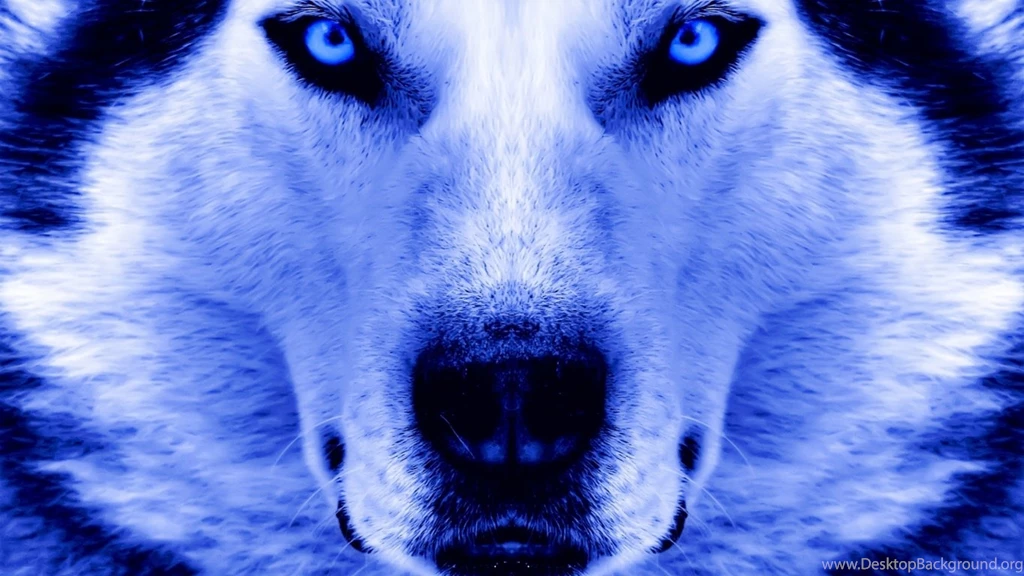 CUTE SIBERIAN HUSKY WALLPAPER WALF1004