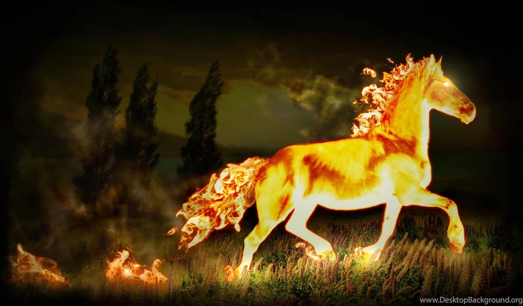 Fire Horse HD Wallpapers