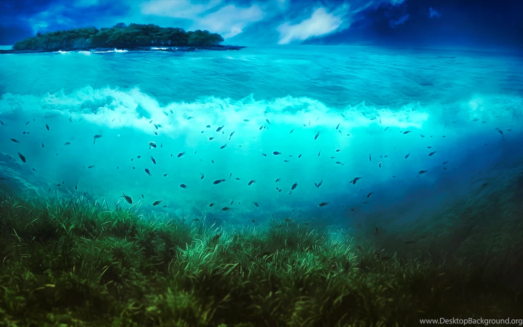 Theme Bin» Blog Archive » Sea World HD Wallpapers