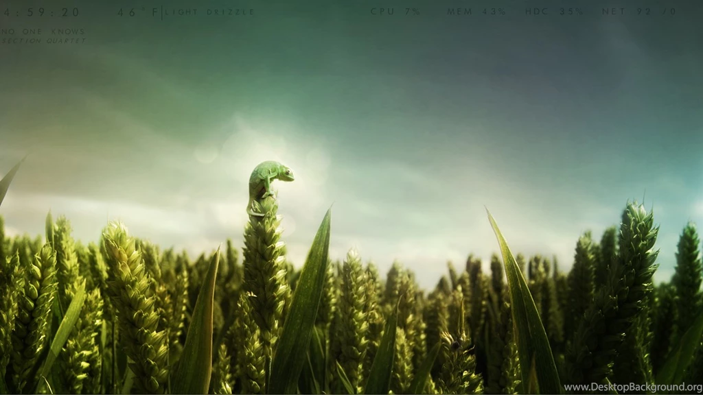 Smooth Rainmeter By John Boyer On DeviantArt