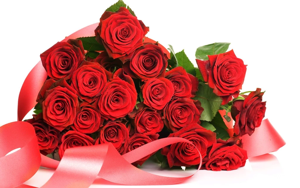 Wallpapers Autumn: Rose Flowers HD Wallpapers Free Download