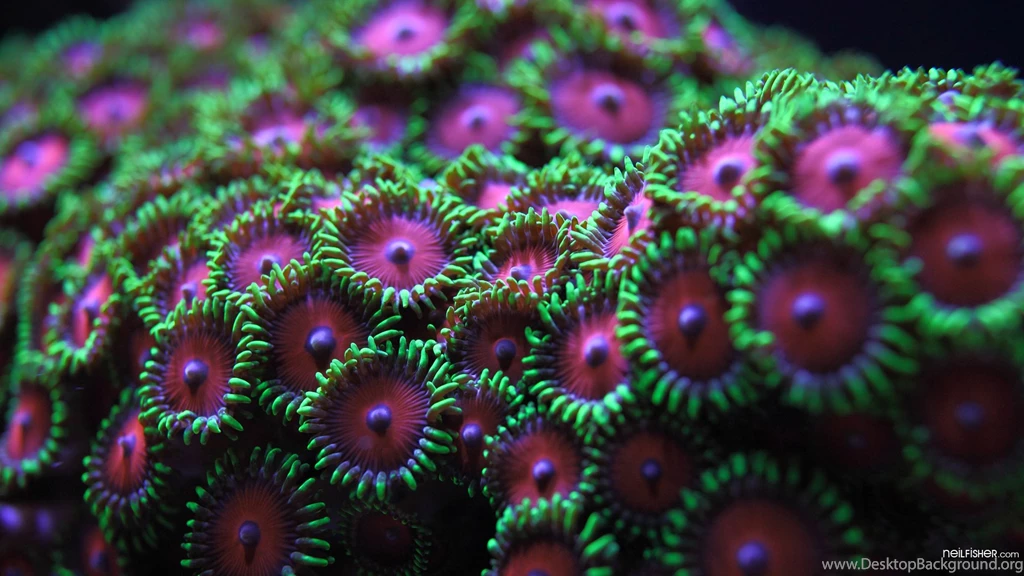 Green Purple, Store, 1920x1080 HD Wallpapers And FREE Stock Photo