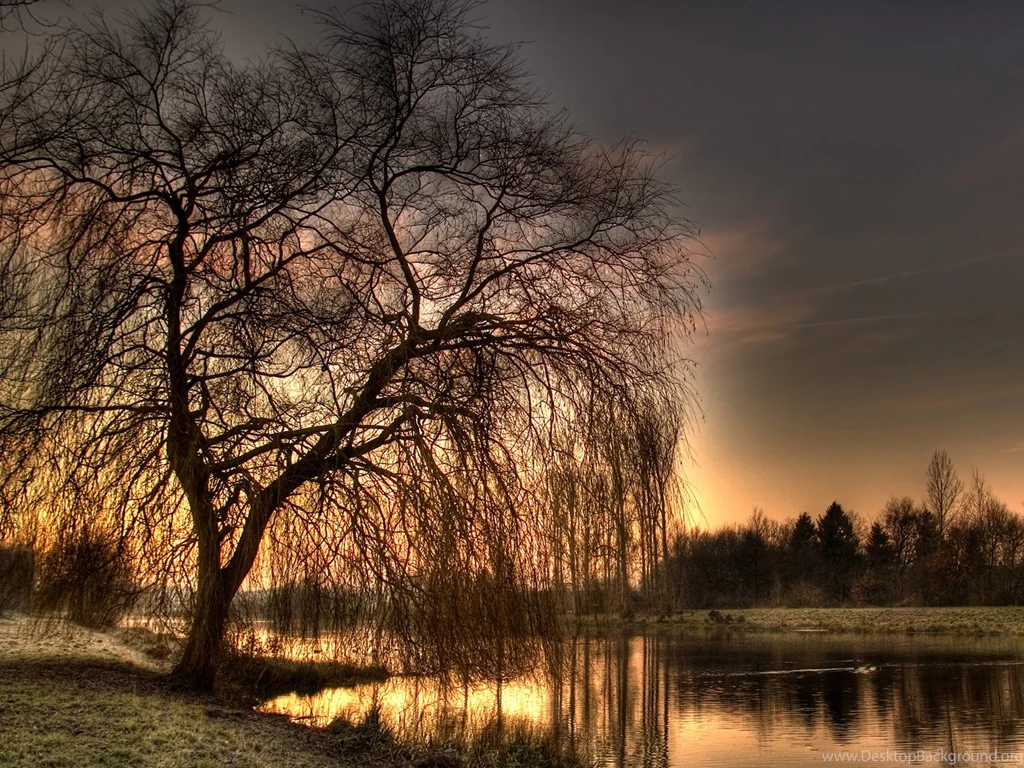 Morning Wallpapers I5U HD Wallpapers Desktop Backgrounds