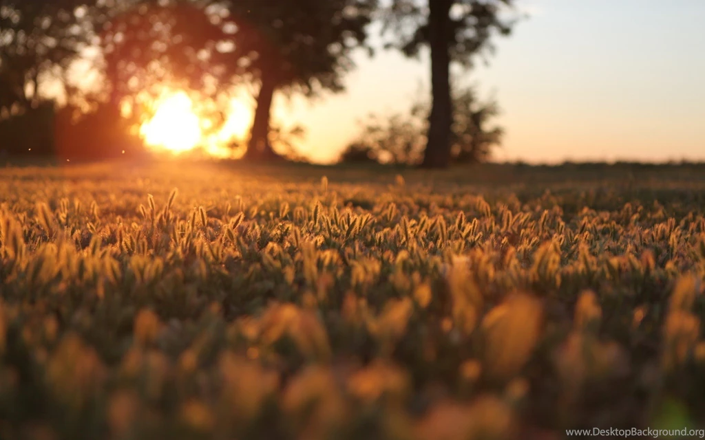 Morning Nature Desktop Wallpapers ~ Toptenpack.com