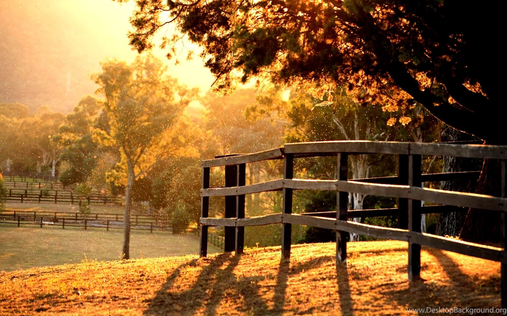 Autumn Morning Quotes. QuotesGram
