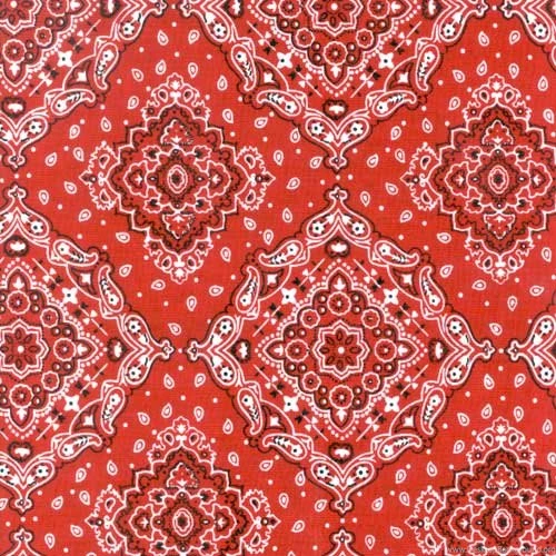 Calamity Pillow Case Red Bandana