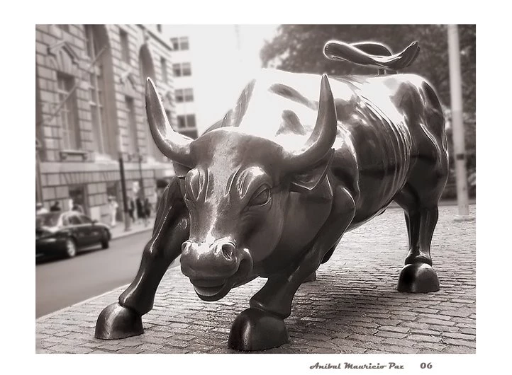 The Wall Street Bull By Anibal1285 On DeviantArt