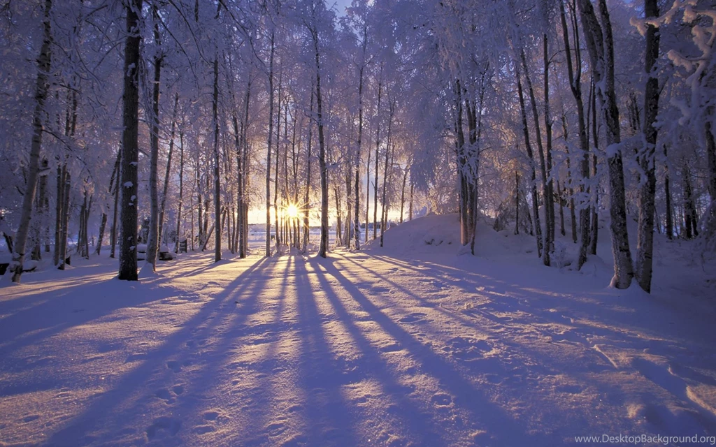 Winter, Photo, Wallpaper, Nature (
