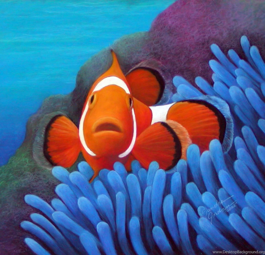 RePin Image: Clownfish On Pinterest