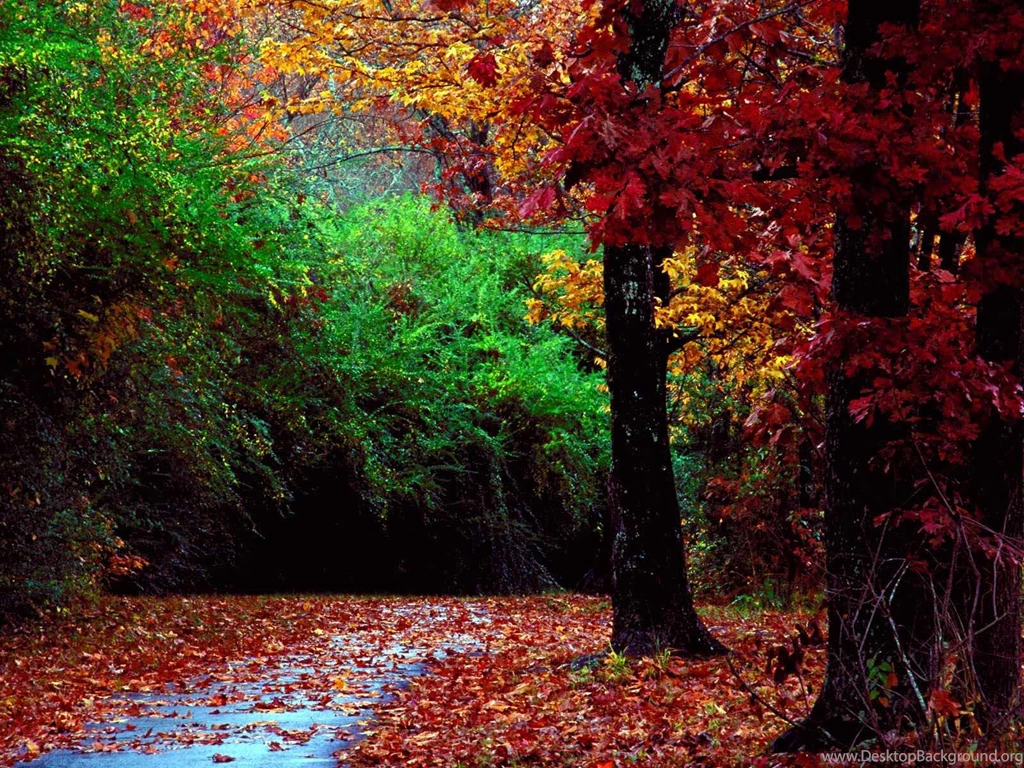 Nature Landscapes HD Wallpapers & Nature Pictures & Pics