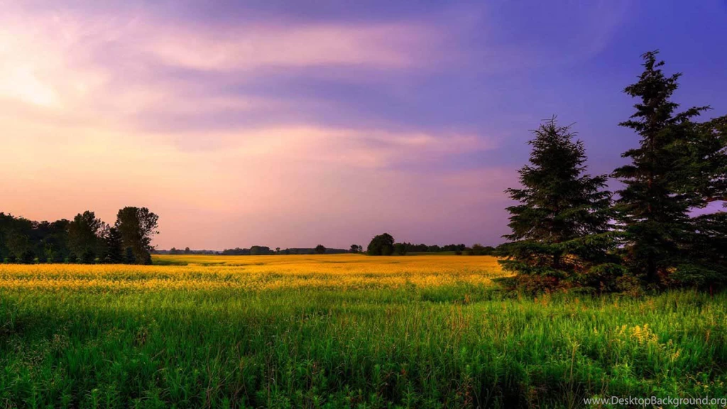 Nice Colored Nature Landscape 1366x768 Wallpapers