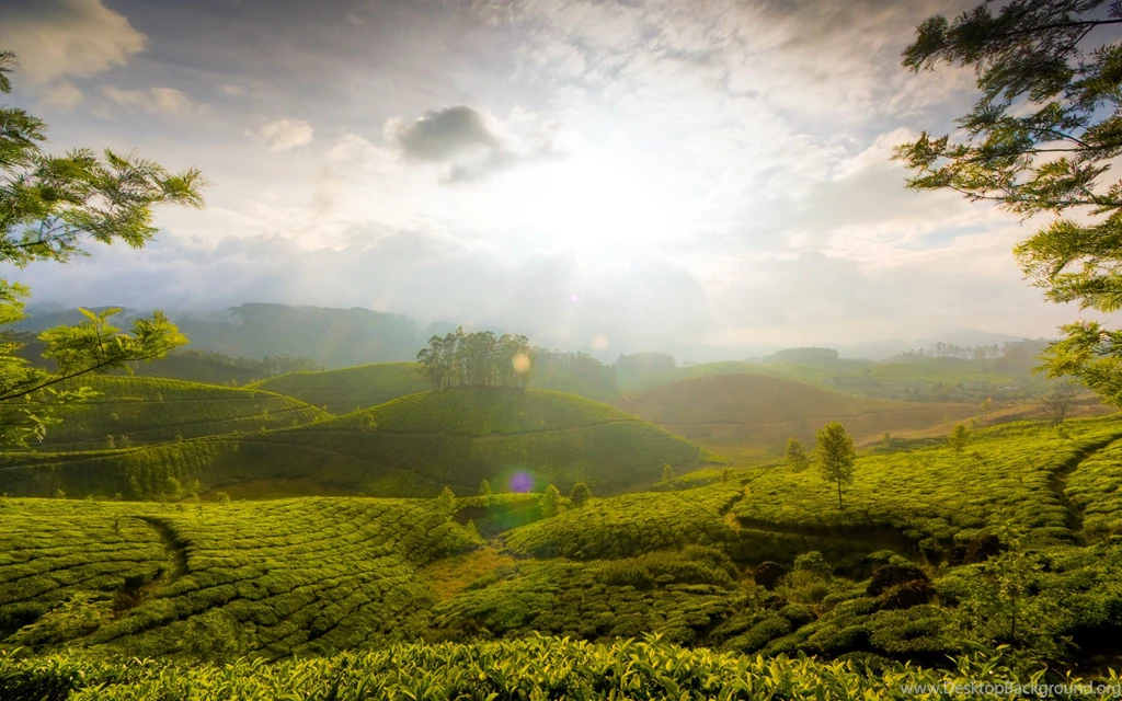 Munnar Hills In Kerala: Nature & Landscape Wallpapers