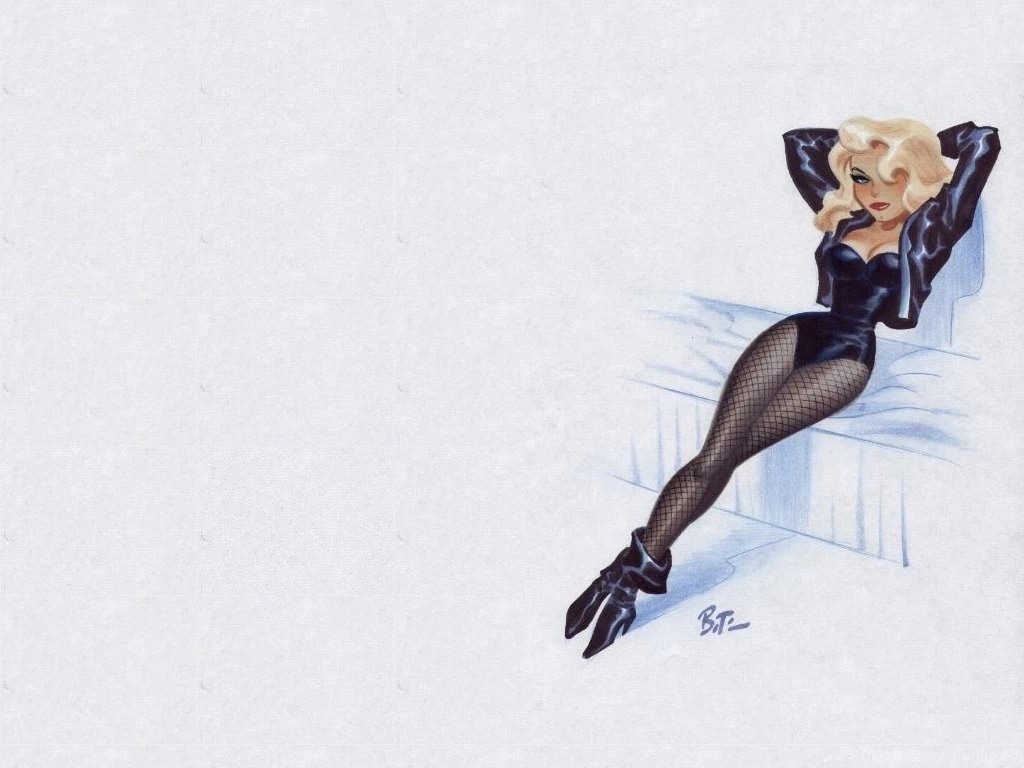 Black Canary   Gotham Girls Wallpapers (11066425)   Fanpop